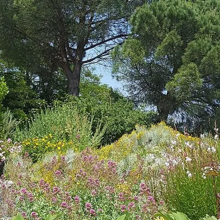 Au Calme * Foulayronnes