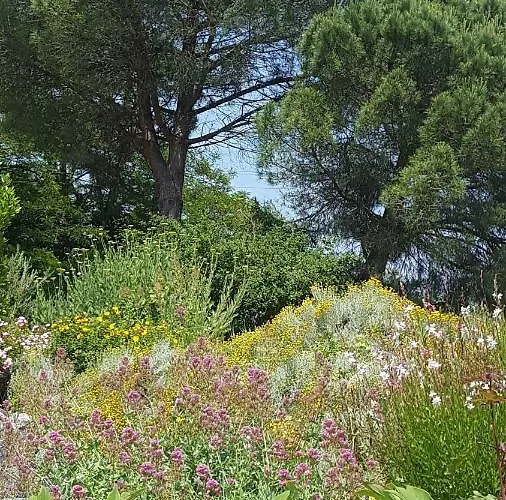 Au Calme * Foulayronnes